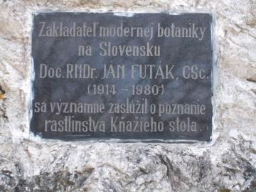 Kňaží stôl, Bradlo Kňaží stôl, Bradlo