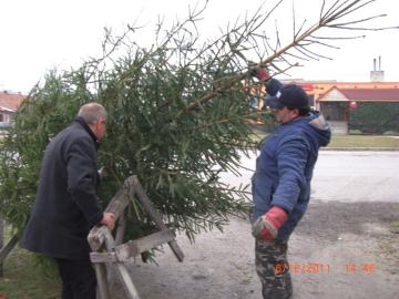Vianočný stromček 2011 Vianočný stromček 2011