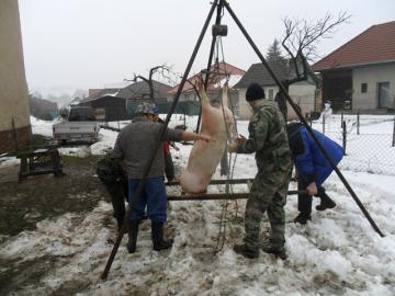 Obecná zabíjačka 2.2. 2013 Obecná zabíjačka 2.2. 2013