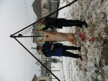 Obecná zabíjačka 2.2. 2013 Obecná zabíjačka 2.2. 2013
