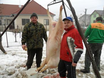 Obecná zabíjačka 2.2. 2013 Obecná zabíjačka 2.2. 2013