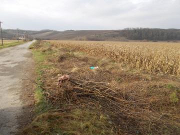 výrub a likvidácia krovín za mostom 11/2014 výrub a likvidácia krovín za mostom 11/2014