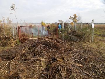 likvidácia neporiadku nad cintorínom 11/2014 likvidácia neporiadku nad cintorínom 11/2014