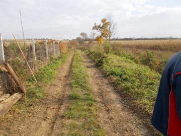 likvidácia neporiadku nad cintorínom 11/2014 likvidácia neporiadku nad cintorínom 11/2014