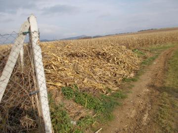 likvidácia neporiadku nad cintorínom 11/2014 likvidácia neporiadku nad cintorínom 11/2014