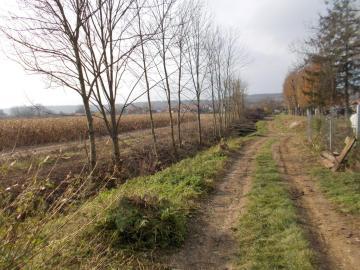 likvidácia neporiadku nad cintorínom 11/2014 likvidácia neporiadku nad cintorínom 11/2014