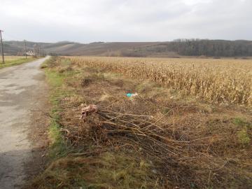 úprava kanála po výrube krovín, 10.11.2014 úprava kanála po výrube krovín, 10.11.2014