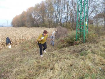 úprava kanála po výrube krovín, 10.11.2014 úprava kanála po výrube krovín, 10.11.2014