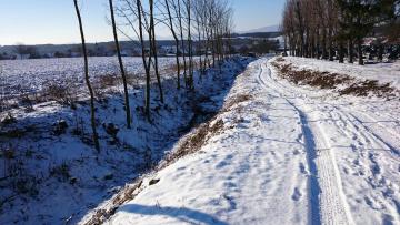 upravený kanál vedľa cintorína, 6.1.2015 upravený kanál vedľa cintorína, 6.1.2015