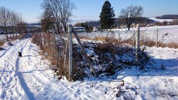 vyčistený oplotok, 6.1.2015 vyčistený oplotok, 6.1.2015