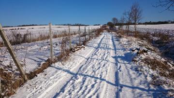 vyčistený oplotok, 6.1.2015 vyčistený oplotok, 6.1.2015