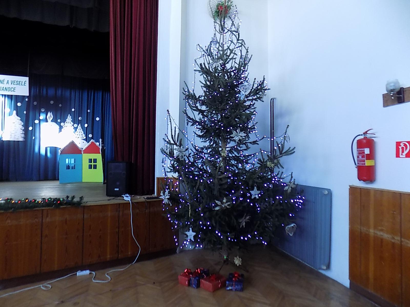 Fotogaléria Posedenie pod jedličkou 17.12.2016 (14) Posedenie pod jedličkou 17.12.2016